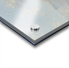 Two lovers by the sea Acrylic print