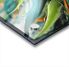 The Fields of Aloe Acrylic print