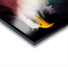 Reggae Eagle Acrylic print