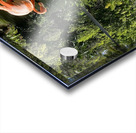 Flamingo in Florida Acrylic print