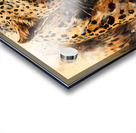 Wild no.39 Acrylic print