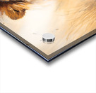 Wild no.41 Acrylic print