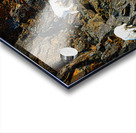 Sheep triplet on ridge Seward highway Acrylic print