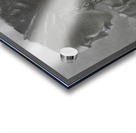 Lady In Waiting Acrylic print