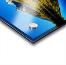 Solitude at String Lake: A Hidden Gem in the Tetons Acrylic print