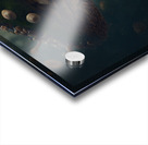 Mushroom Princess Acrylic print