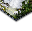 Falling Window Acrylic print