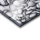 FEMINISM Acrylic print