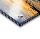 20190801 203253 01 Acrylic print