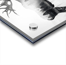 Sacred Elk Acrylic print