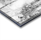 Black and white Acrylic print