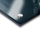 Twin dance Acrylic print