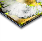 845C6BEA 88D4 4327 A835 48EA6B585340 Acrylic print