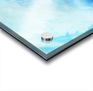 Inkscape 14 Acrylic print