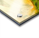 Inkscape 37 Acrylic print