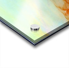 Inkscape 27 Acrylic print