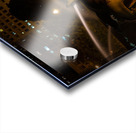 Water horses Acrylic print