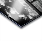 posted il Acrylic print