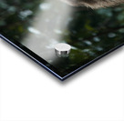 20220610144438  MG 8900 Acrylic print