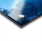 20220808 165930 1 Acrylic print