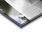 Rolla-Rena Acrylic print