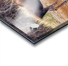 Young_Kisses Acrylic print