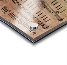 Butterfly Slip Jig Acrylic print