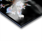 Clover Acrylic print