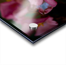 Pastel Acrylic print