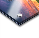 Lonely Tree at Sunset Acrylic print