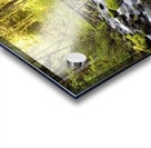 Water Flowing By Moss Covered Rocks In A Stream Acrylic print