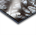 Palmistry 2 Acrylic print