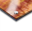 Palmistry 3 Acrylic print