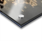 IMG 4387 Acrylic print