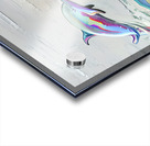 Cheerful Dolphins Acrylic print