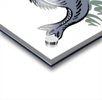 BIG FISH Acrylic print