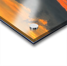 The Lonely Pelican Acrylic print