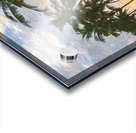 Palms of Kauai Acrylic print