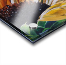 Sunflower Acrylic print