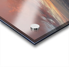 image001 Acrylic print