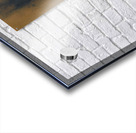 Rabbit Acrylic print