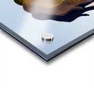 3Camel Acrylic print