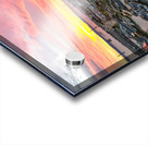 SanFrancisco1 Acrylic print