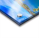 California1 Acrylic print