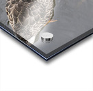 Canard du Quebec qui joue dans le lac de Lambton. Impression Acrylique