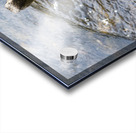  Canard qui joue dans leau Acrylic print