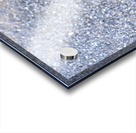 Canard en ville Acrylic print