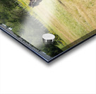 Cheval au galop Acrylic print