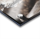 Nouveau bebe chevreau Acrylic print