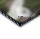 outside 00052 8 Acrylic print